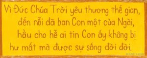John 3:16 in Vietnamese. John 3:16 in many different world languages.