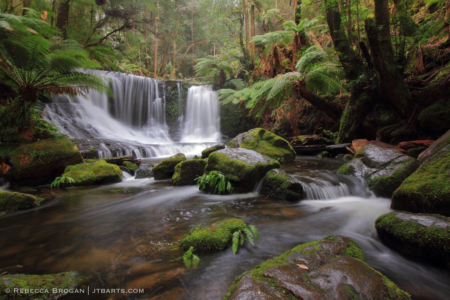 Horseshoe Falls, Tasmania, Mt Field National Park