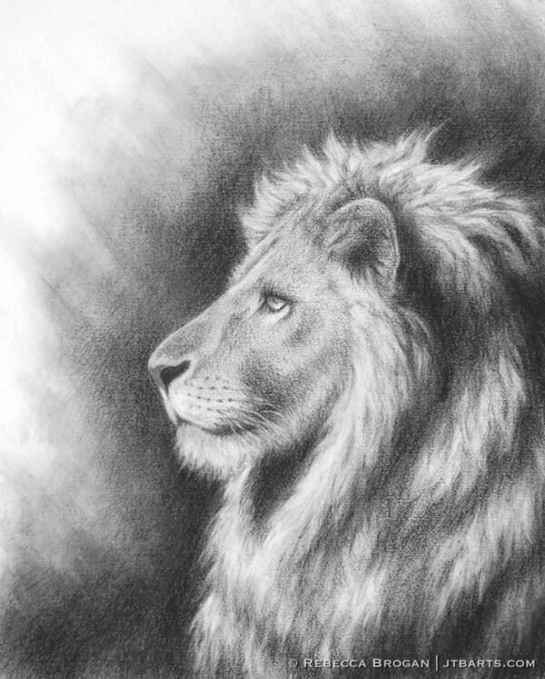 The lion of the tribe of Judah Christian artwork. Side view of the lion of Judah.