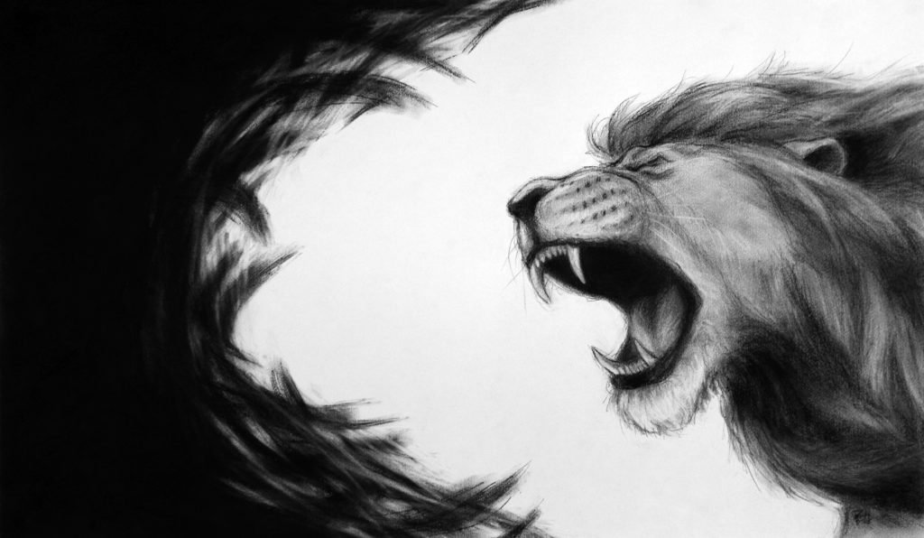 The Spirit of The Lion of The Tribe of Judah Lion of Judah Roaring