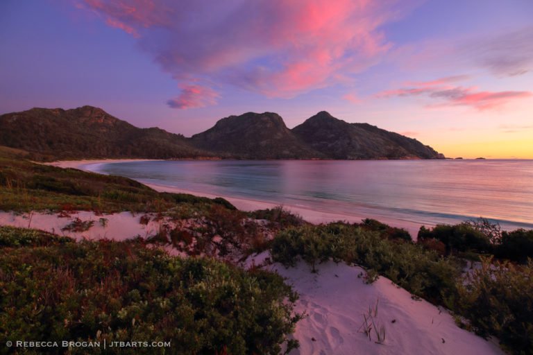 Wombat Tracks on Wineglass Bay (Freycinet Peninsula Circuit, Freycinet ...