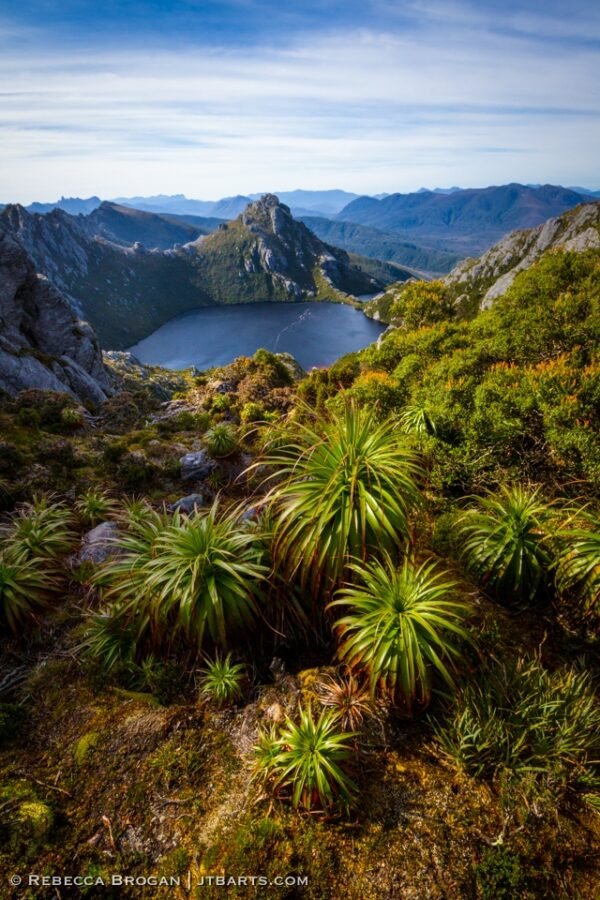 Lake Oberon Western Arthurs pandanis, Tasmania